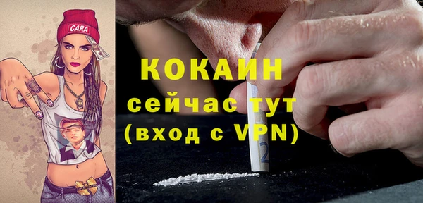 ешки Мегион